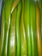 Jumbo pastèque halal unité