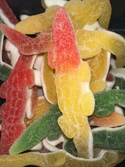 Crocodile sucrée XL/unité